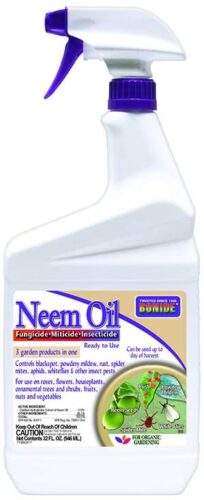 Insect Pesticide (Neem oil)