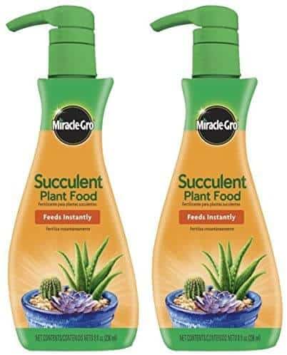 Miracle Gro Fertilizer for Succulent