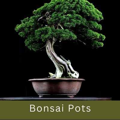 Bonsai pots