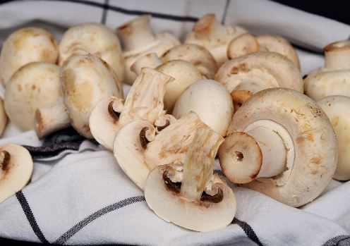 How Long Is Cooked Mushroom Good For In The Fridge?