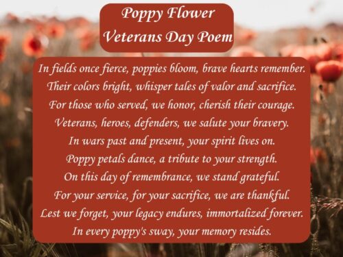 poppy flower veterans day poem